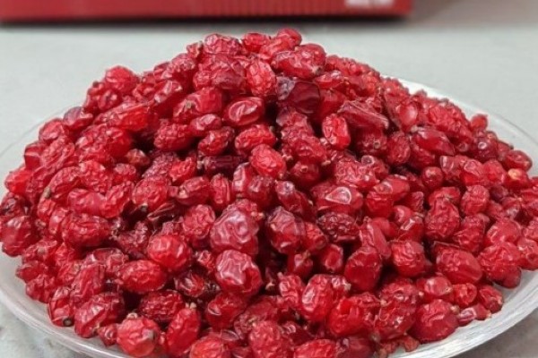 تصویر 2 از خرید و قیمت زرشک پفکی اعلا + فروش صادراتی